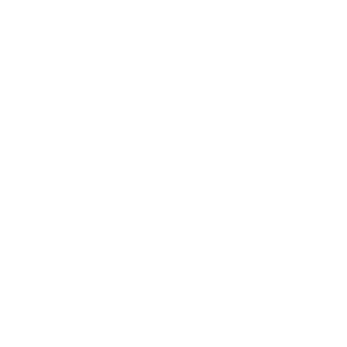 icons8 portfolio 500